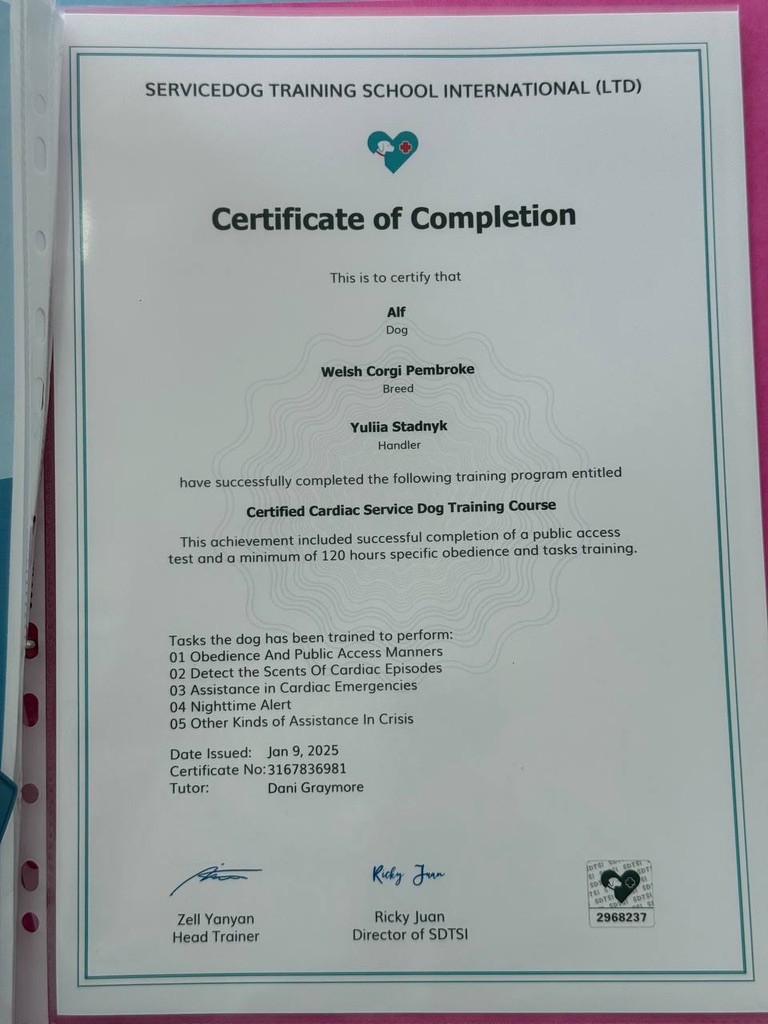 Certificate of completion